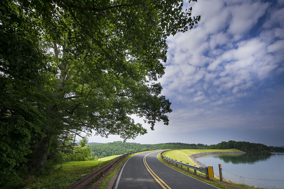 Tree-lined road beside a lake